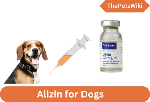 where to buy Alizin for Dogs