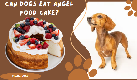 Can dogs eat angel food cake