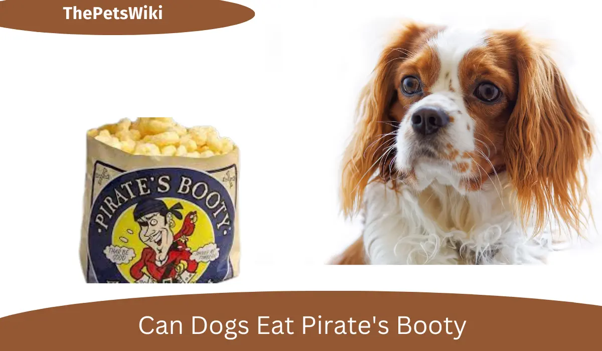 Can Dogs eat Pirate's Booty