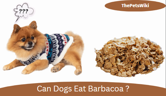 can dogs eat barbacoa?
