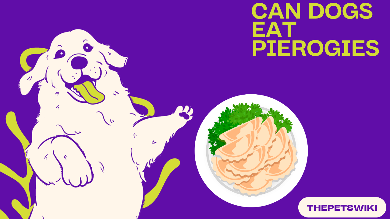 Can Dogs Eat Pierogies?