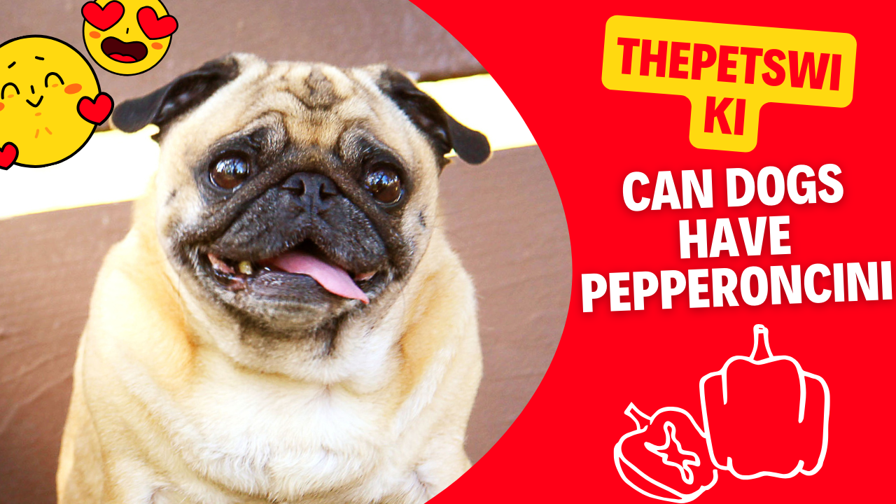 Can Dogs Have Pepperoncini?