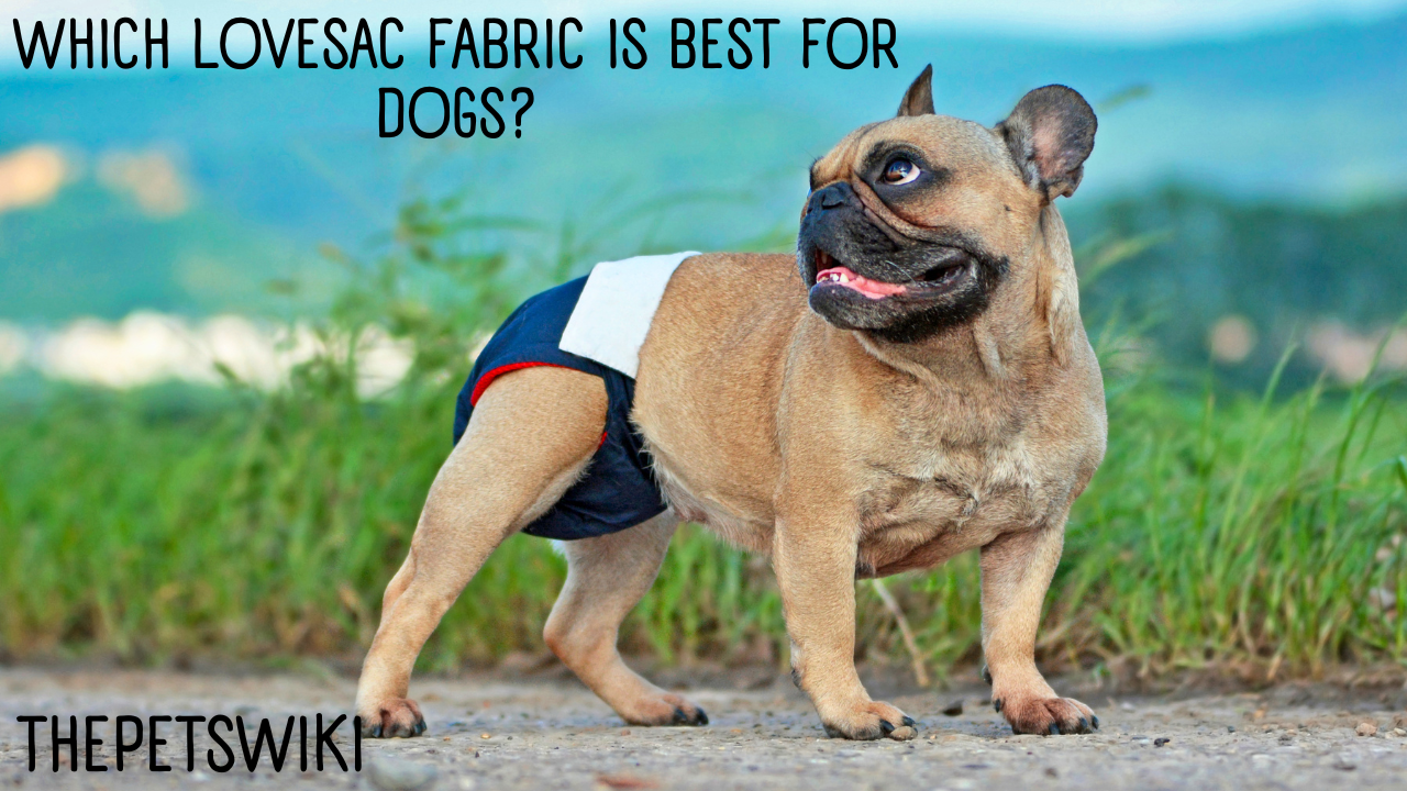 Which Lovesac Fabric is Best for Dogs?