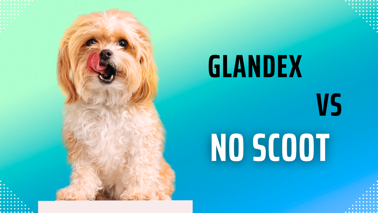 Glandex vs No Scoot