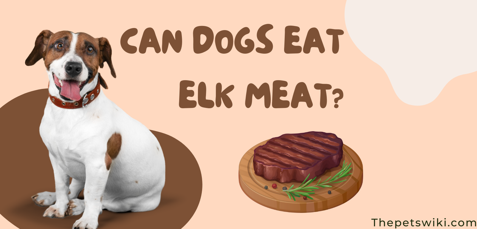 Can Dogs Eat Elk Meat