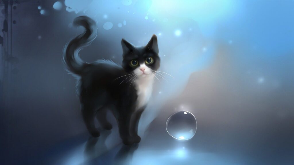 Galaxy:7dby-Epf6-8= Cat Wallpaper