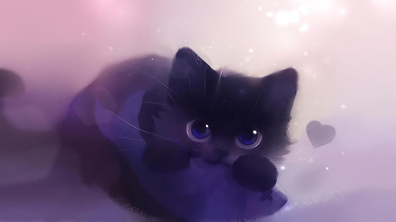 Galaxy:Ktilg42lqhu= Cat Background