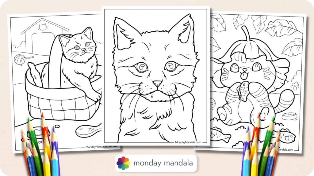 Kitten:Dqlkim1cphs= Cat Coloring Pages