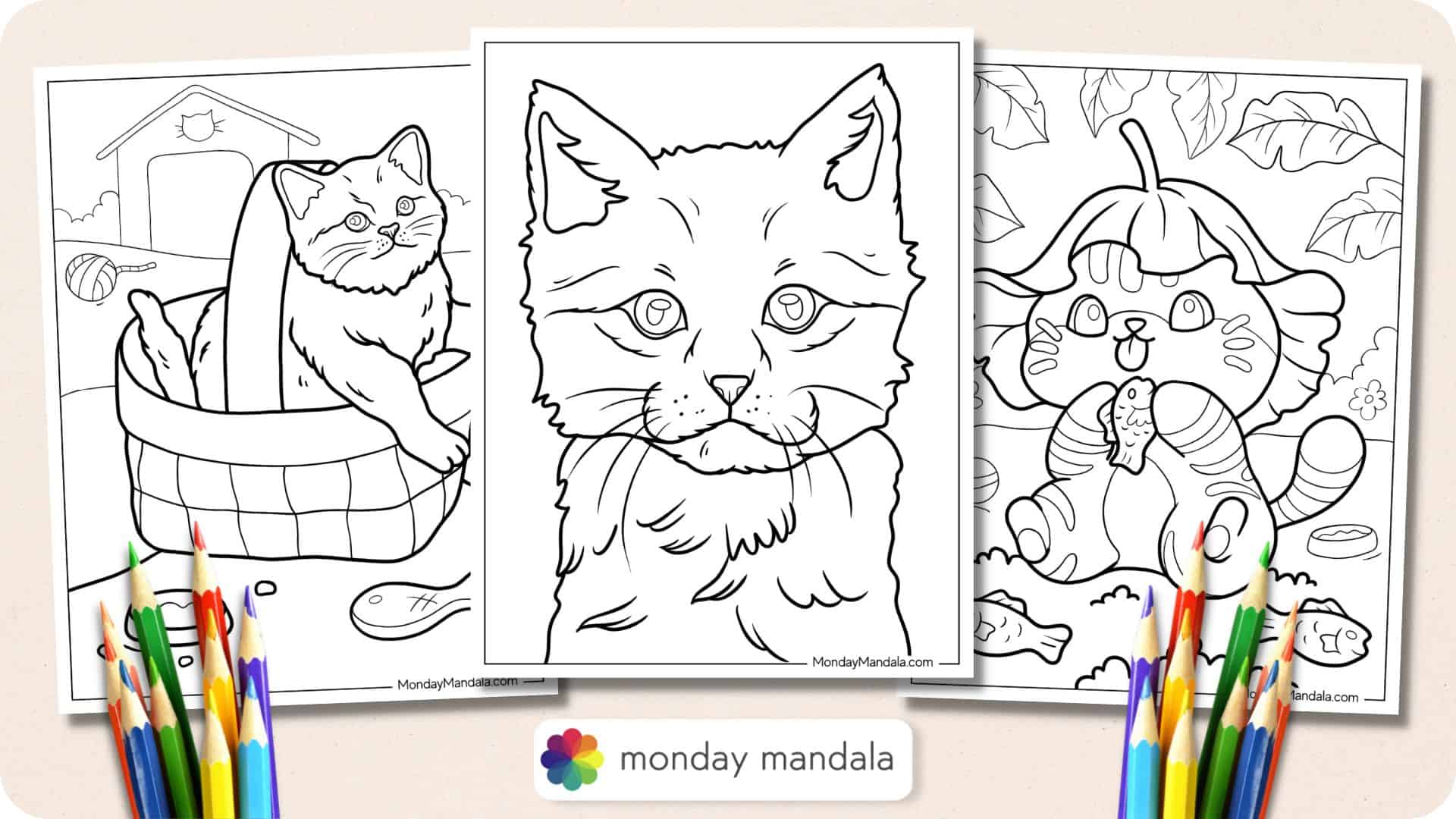 Kitten:Dqlkim1cphs= Cat Coloring Pages