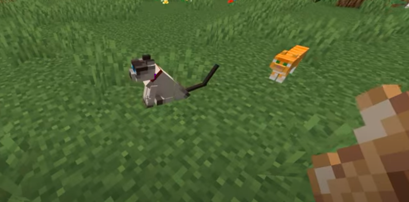 Minecraft:K61xgnbn230= Cat