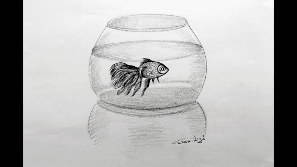 Sketch:Zcozvokpcxa= Fish Drawing