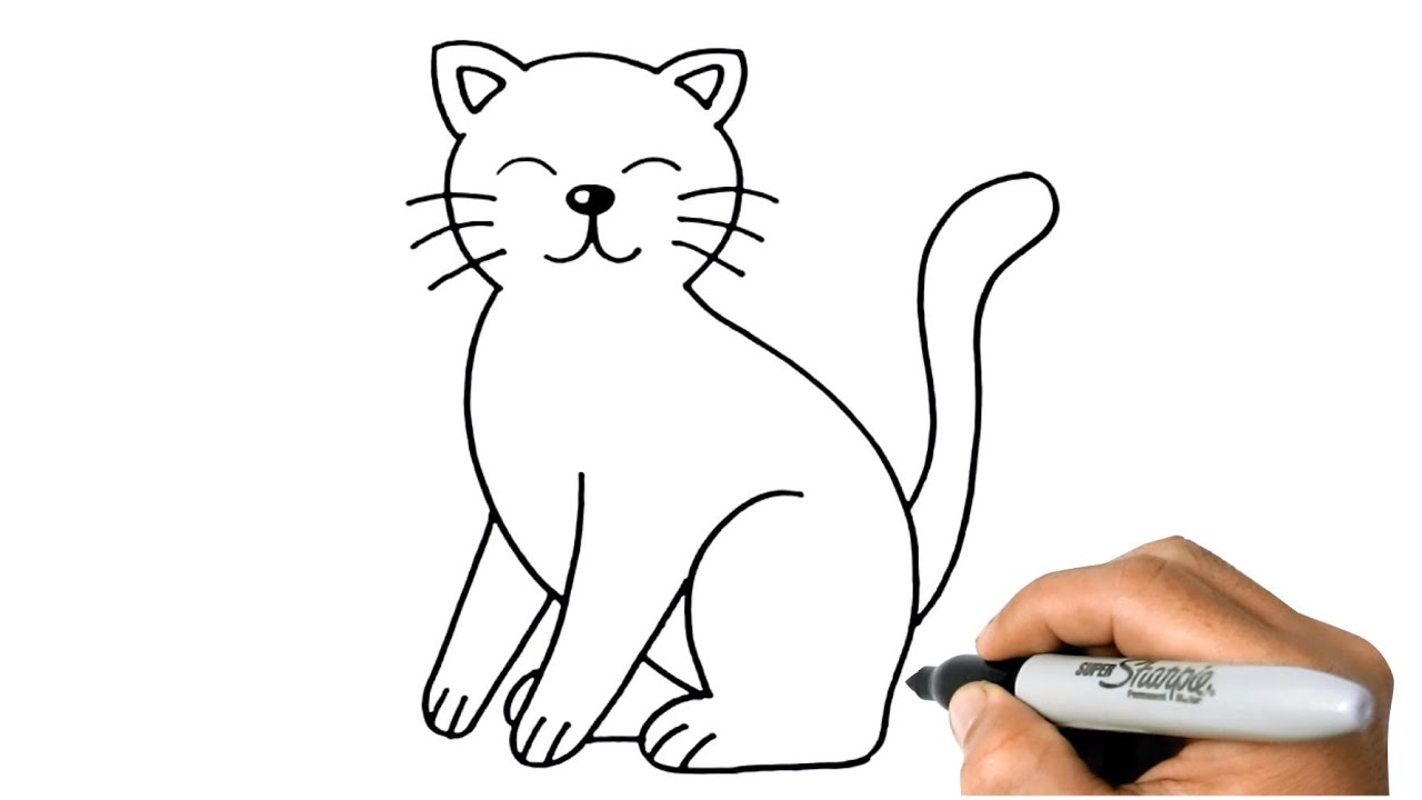 Easy:Ltwzjgdse60= Cat Drawing