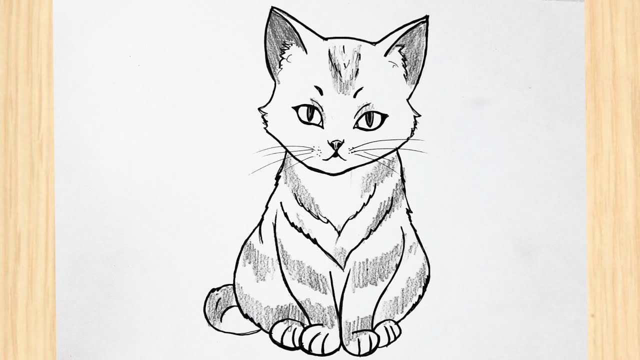 Sketch:Zd2rlmo3jvk= Cat Drawing Easy