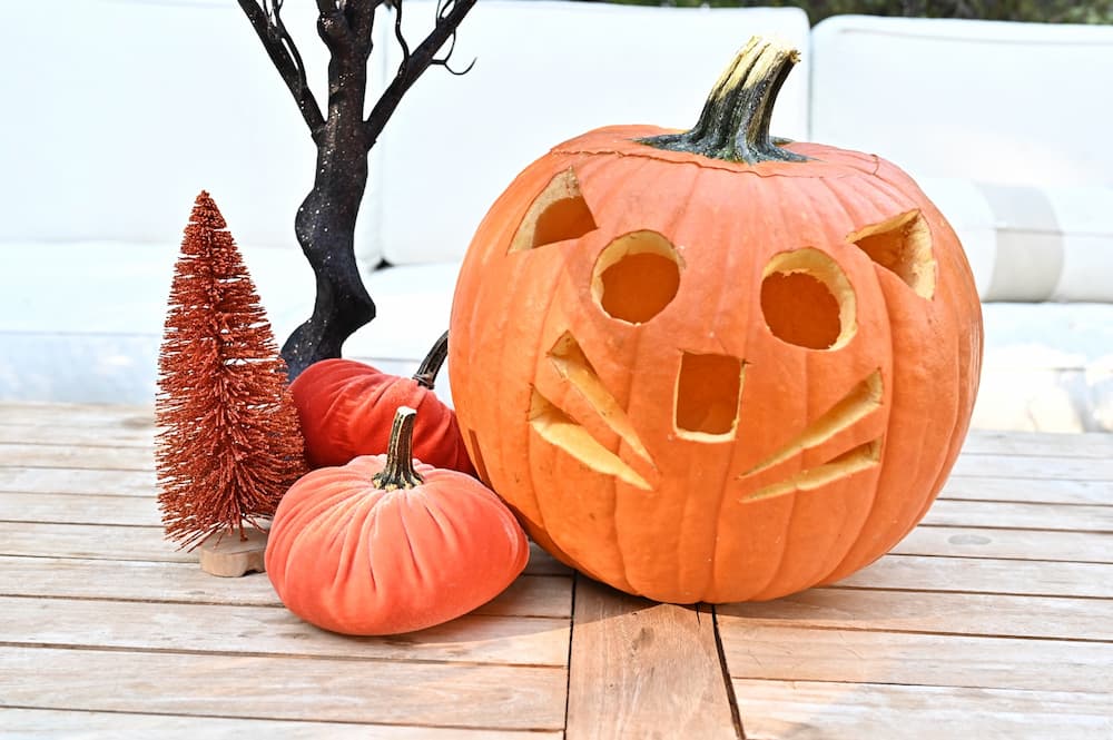 Easy:Ihx7oroinm8= Cat Pumpkin Carving