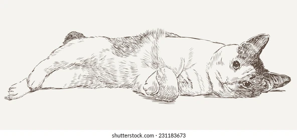 Drawing:Wjk6vaxcru4= Cat