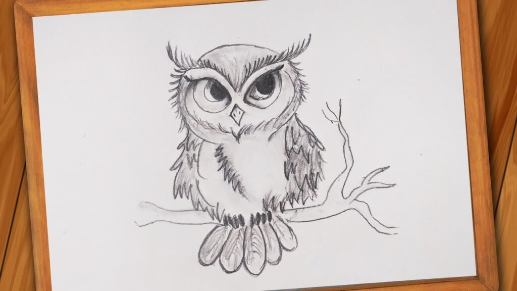 Pencil:Nhdxkwf8awc= Owl Drawing