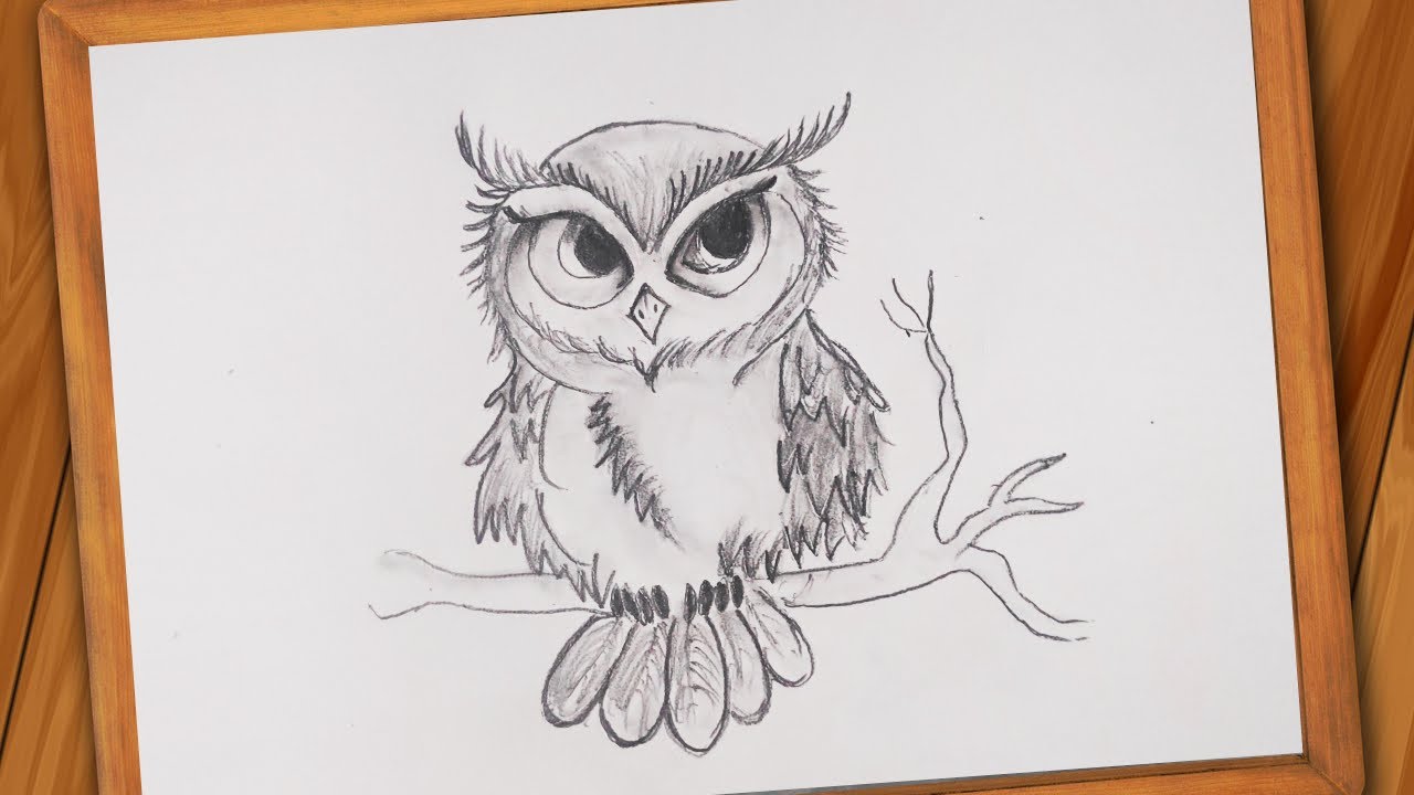 Pencil:Nhdxkwf8awc= Owl Drawing