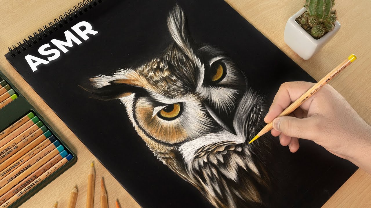 Realistic:Qjx8hcxnnew= Owl Drawing