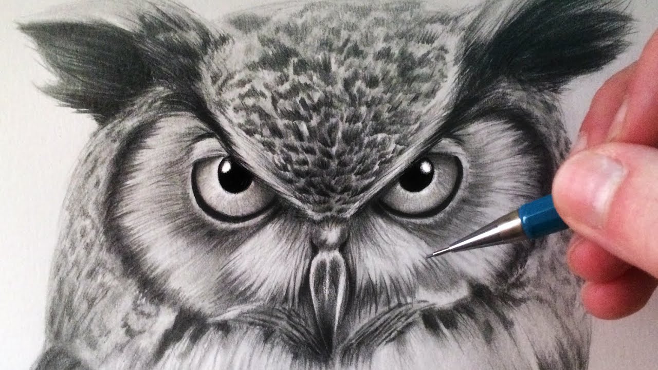 Realistic:W2d2hjkcj1e= Owl Drawing