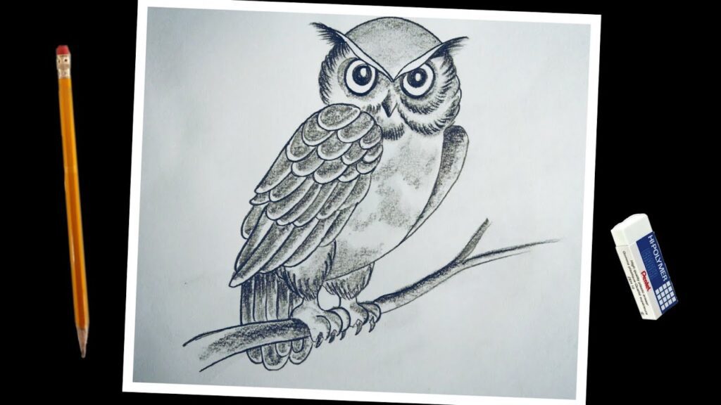 Sketch:Oki880sqzy0= Owl Drawing