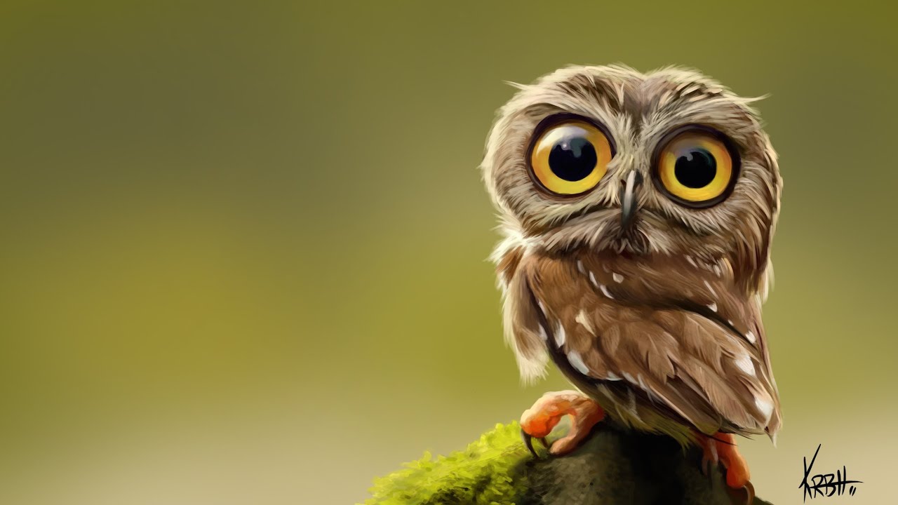 Cute:S6j5hhkikp8= Owl