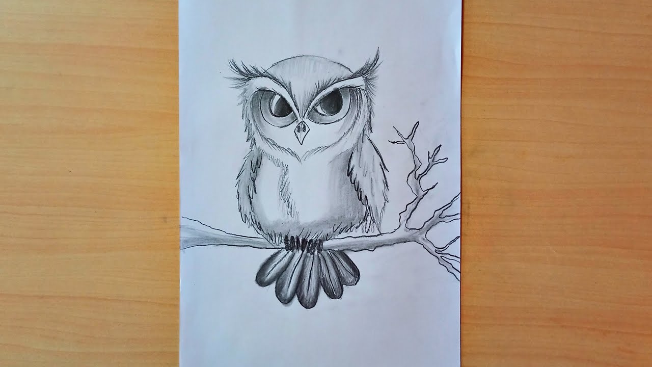 Easy:Iqb18svr4ii= Owl Drawing