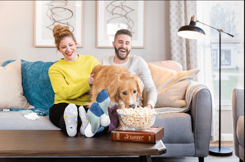 Pet-Proofing Your Home: Tips from a Handyman in London